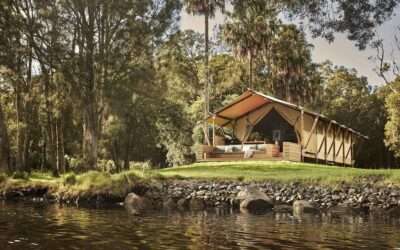 Transforming Off-Grid Glamping into a Profitable, Sustainable Adventure