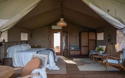 Why standard furniture doesn’t belong in luxury Safari Tents