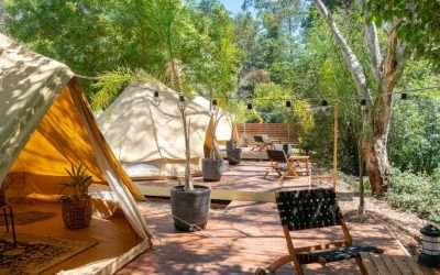 Bell Tents are back